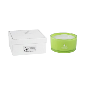 Absolument Parfumeur Bougie 350G  Absolument Absinthe